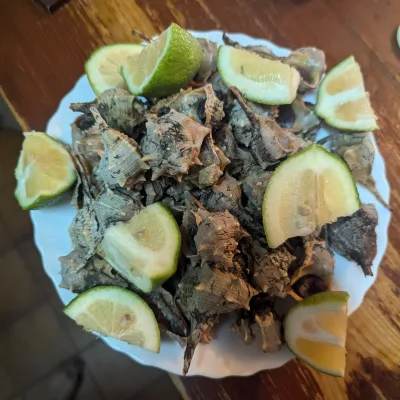 Recipe Image