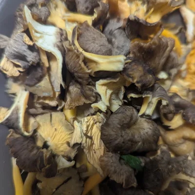 Recipe Image